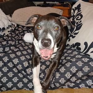 Meet your Posher, Sherry